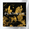 The Hebrew Directory (Platinum)