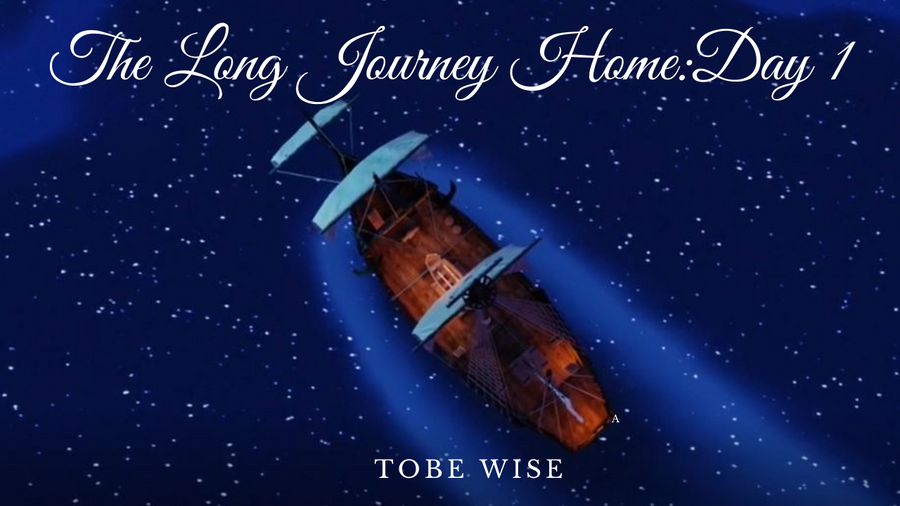 The Long Journey Home BY TOBE WISE