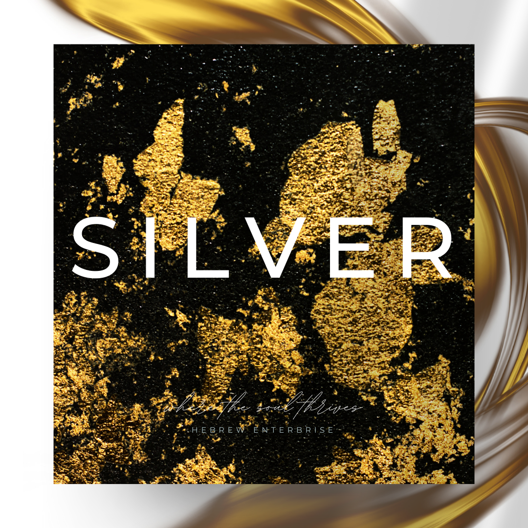 Silver Sponsorship Application Form